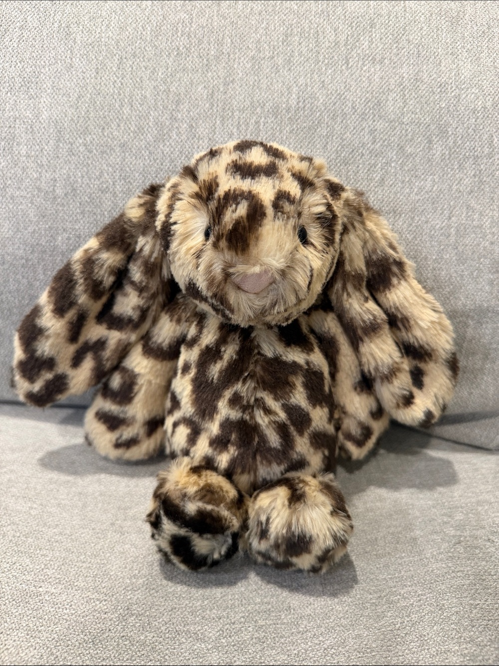 Special Edition Bashful Dixie Bunny NO TAGS